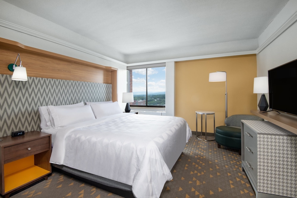 Studio, Suite, King Bed, Pool View, Sofa