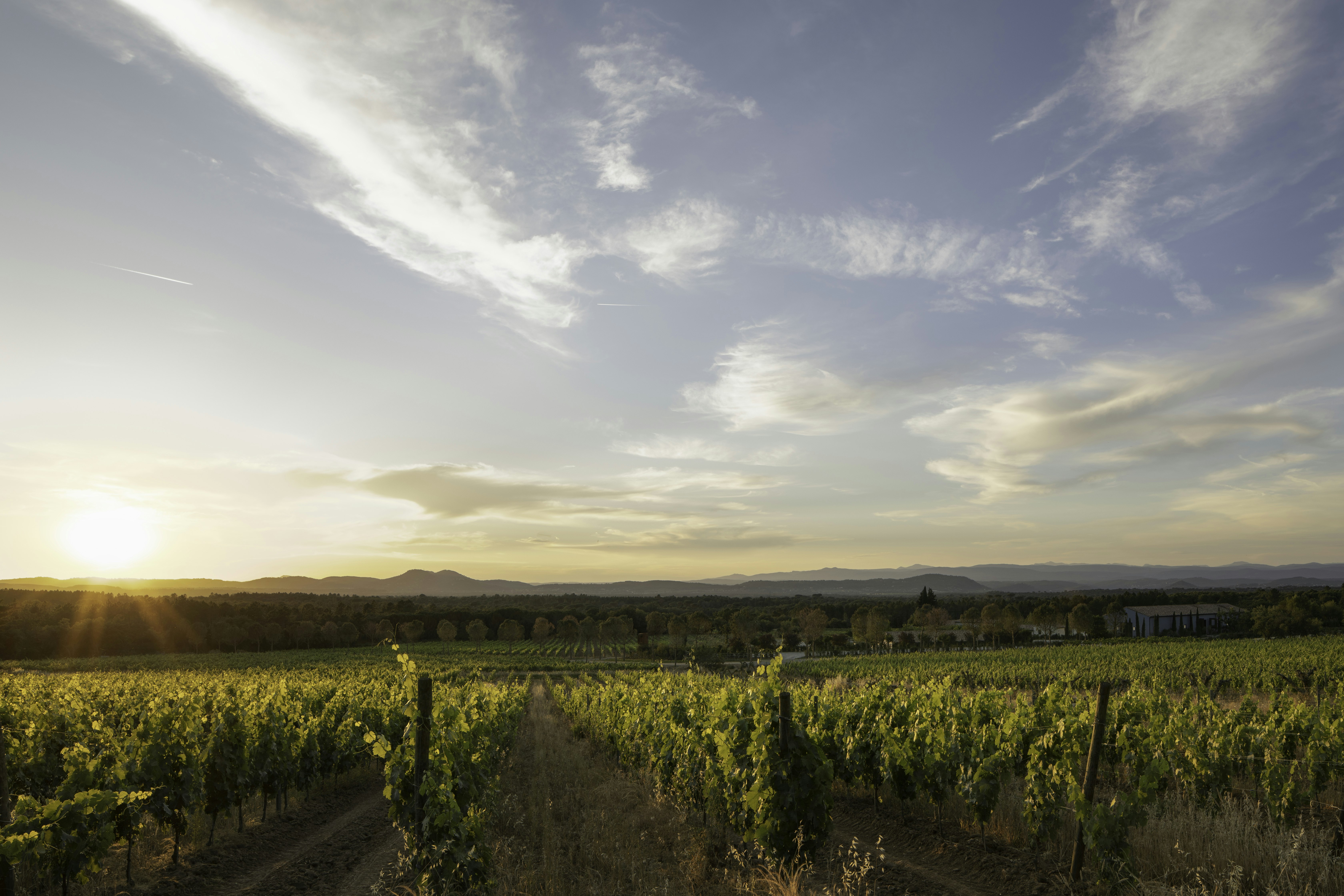 Ultimate Provence Hotel & Spa 11/20