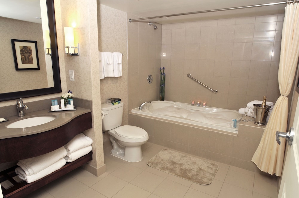 Hilton Niagara Falls/ Fallsview Hotel and Suites 23/49