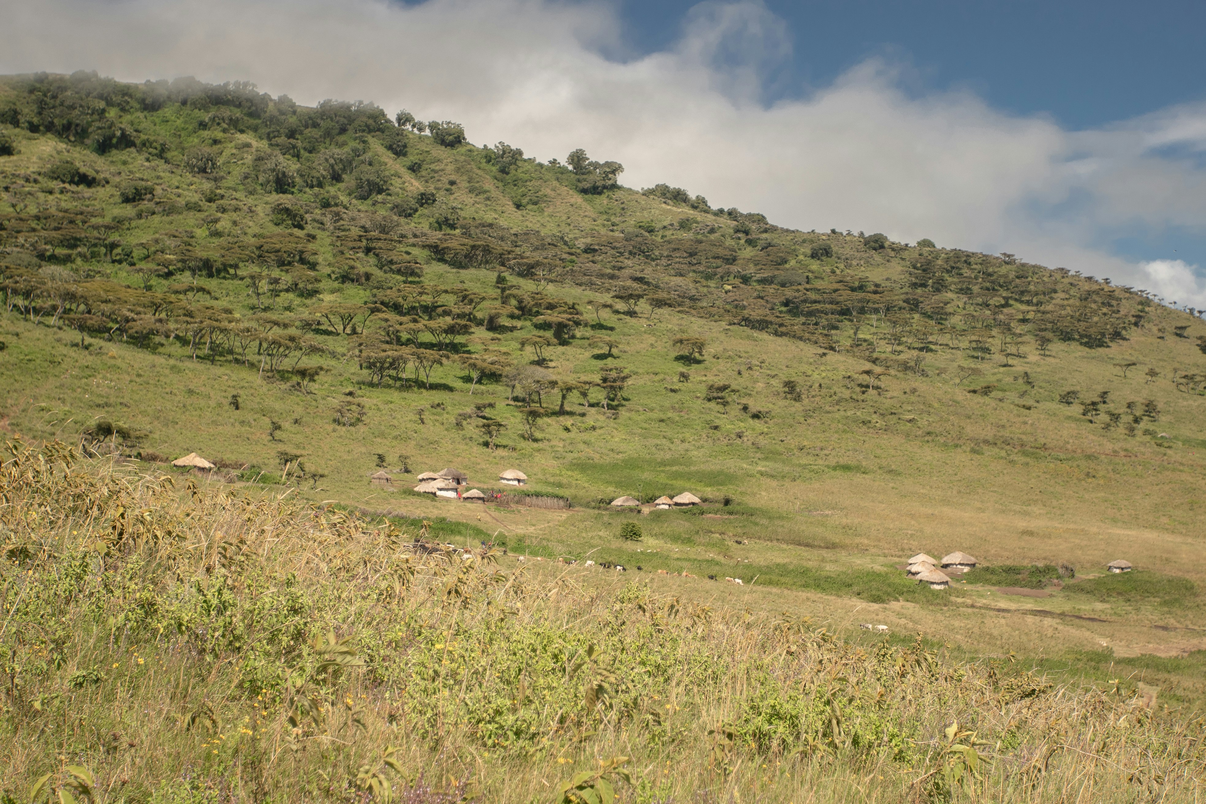 Ngorongoro Lodge member of Melia Collection 37/57