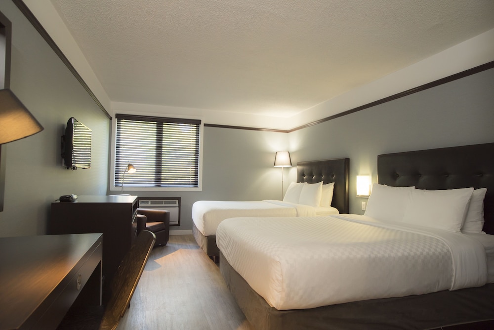 STANDARD, 2 QUEEN BEDS