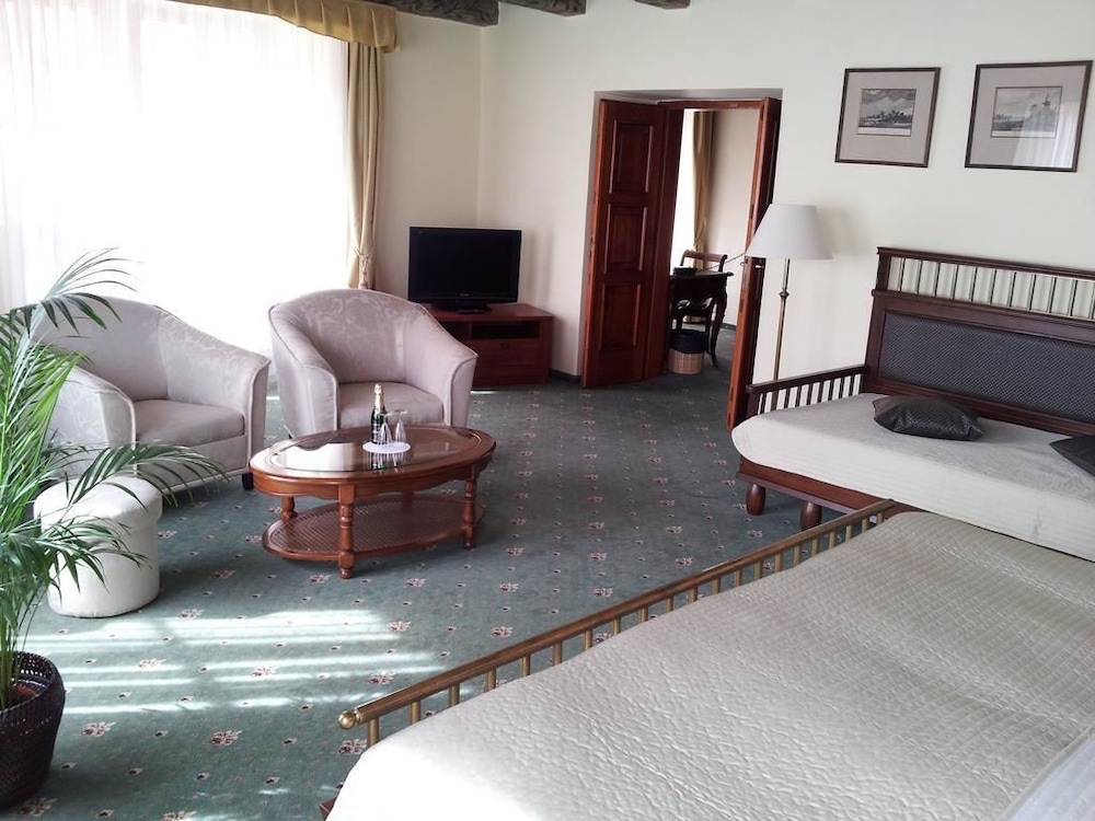 U Tri Pstrosu Hotel 29/50