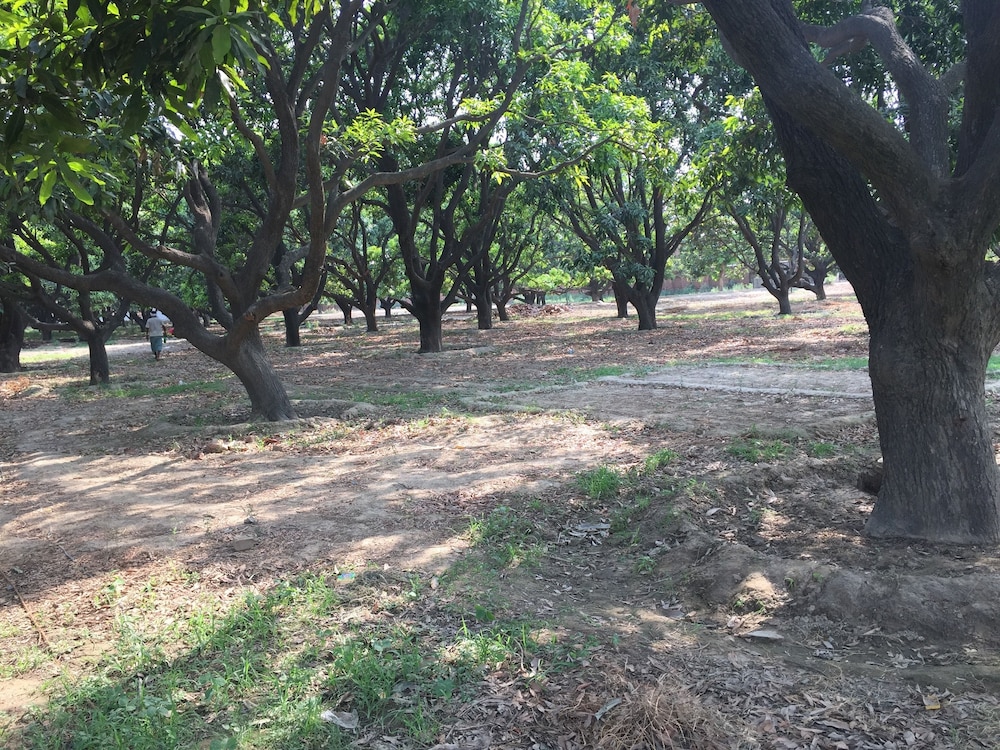 Babian Imperial Resort 14/20