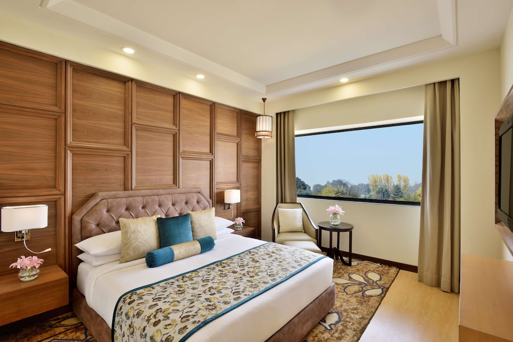 Radisson Srinagar 19/54