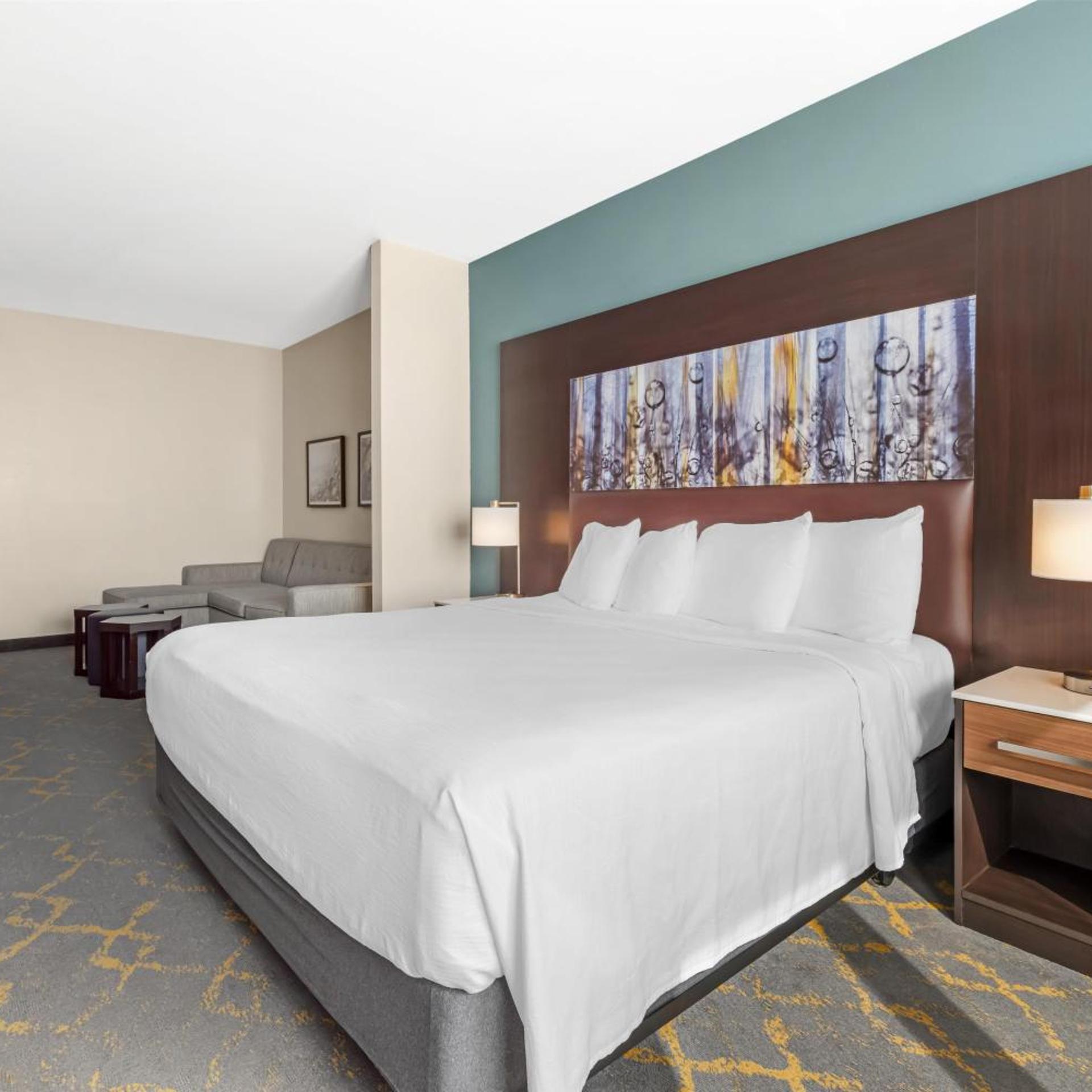Suite, King Bed, Bathtub, Accessible