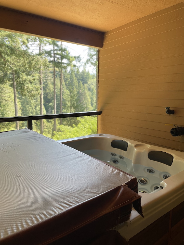 Carson Hot Springs Resort 21/68