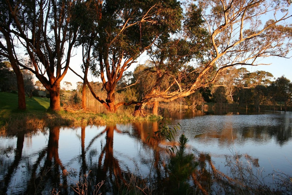 QUAMBY HOMESTEAD 30/42