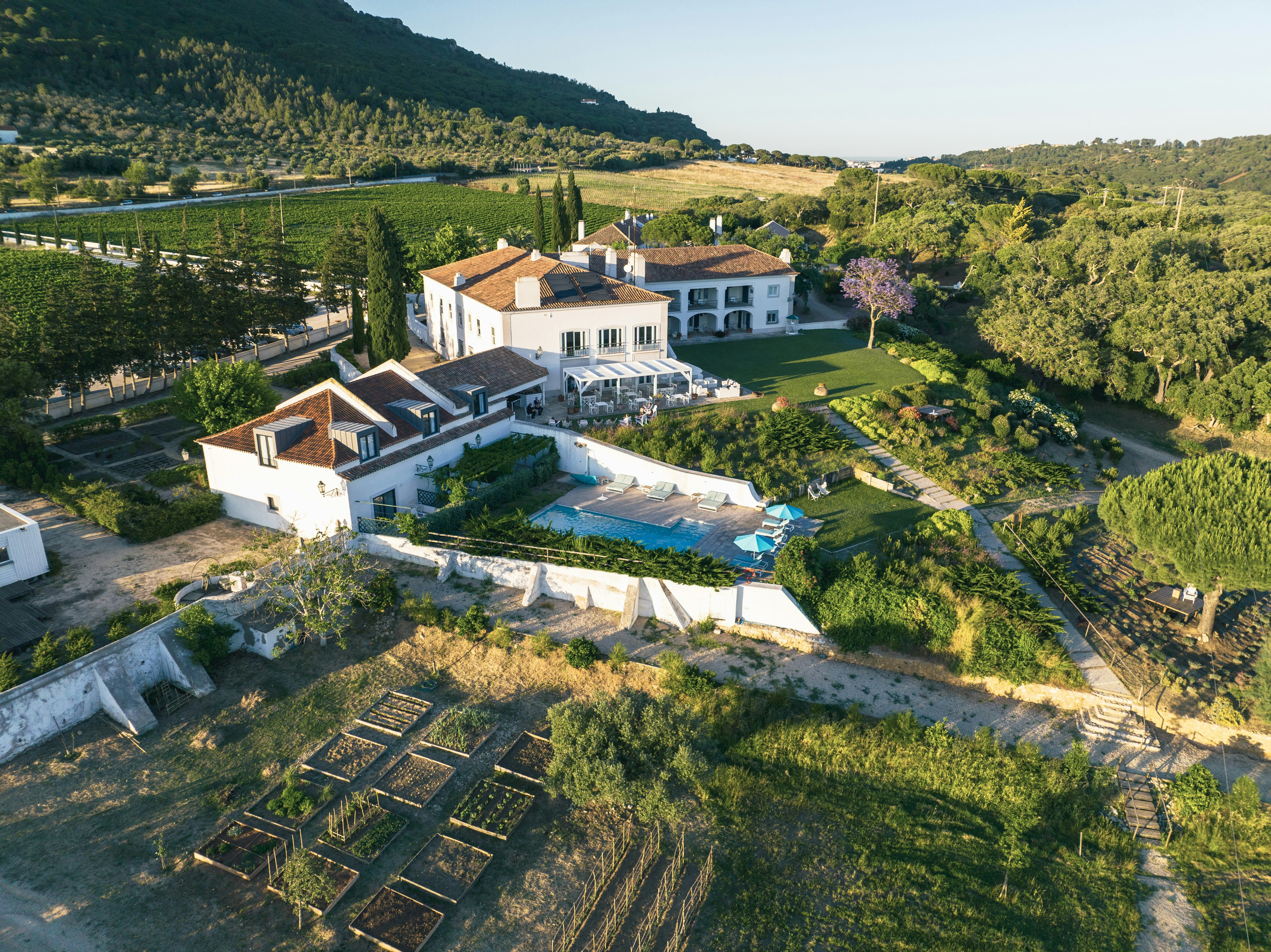 Casa Palmela 65/81