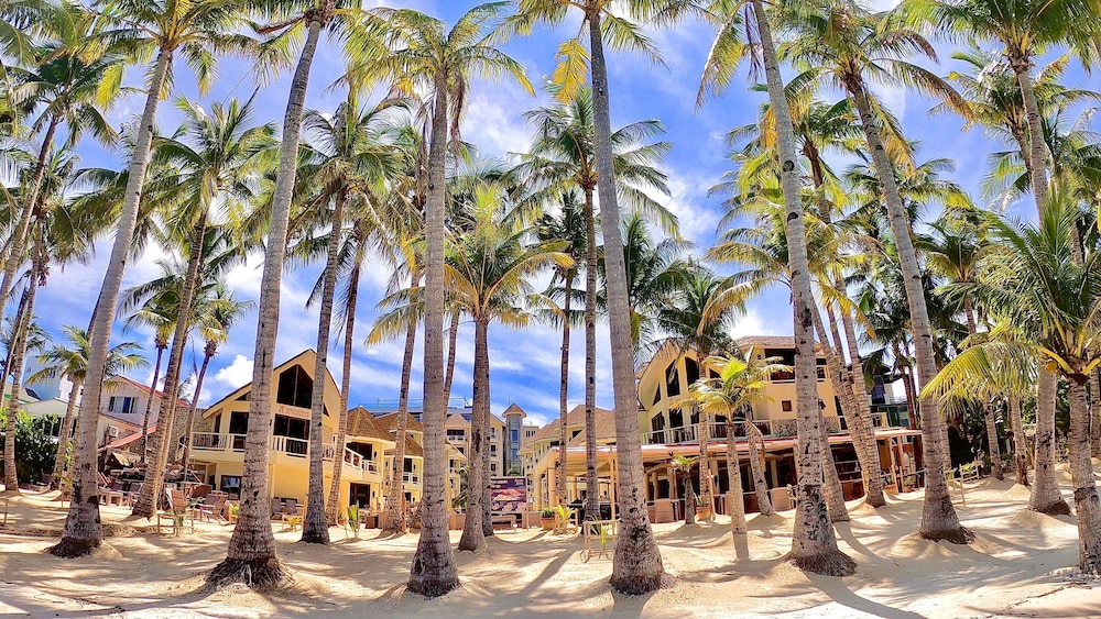 Ambassador In Paradise 43/49