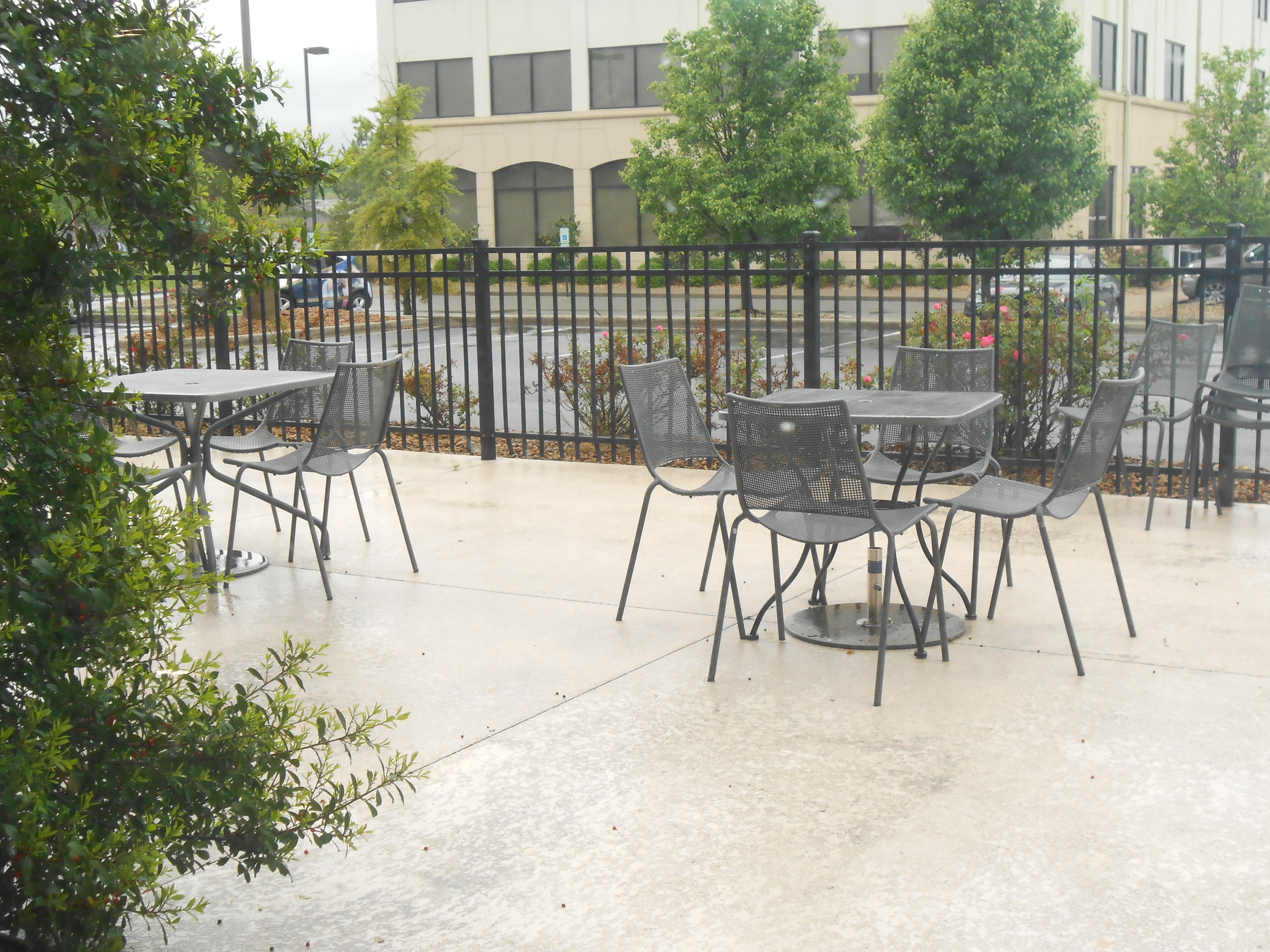 Holiday Inn Carbondale-Conference Center 54/81