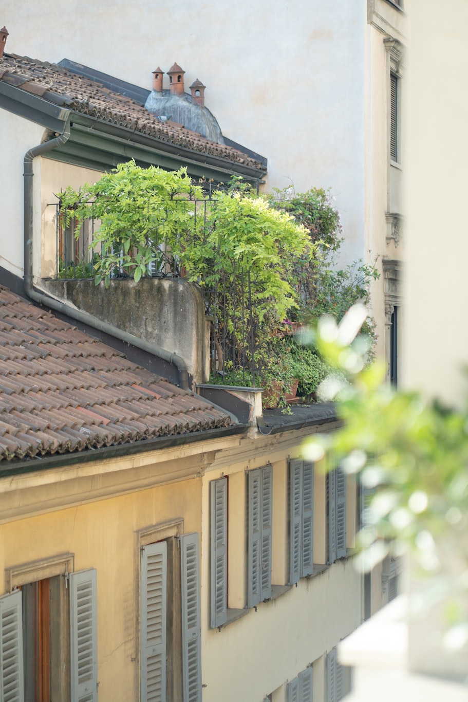 Speronari Suites 4/50