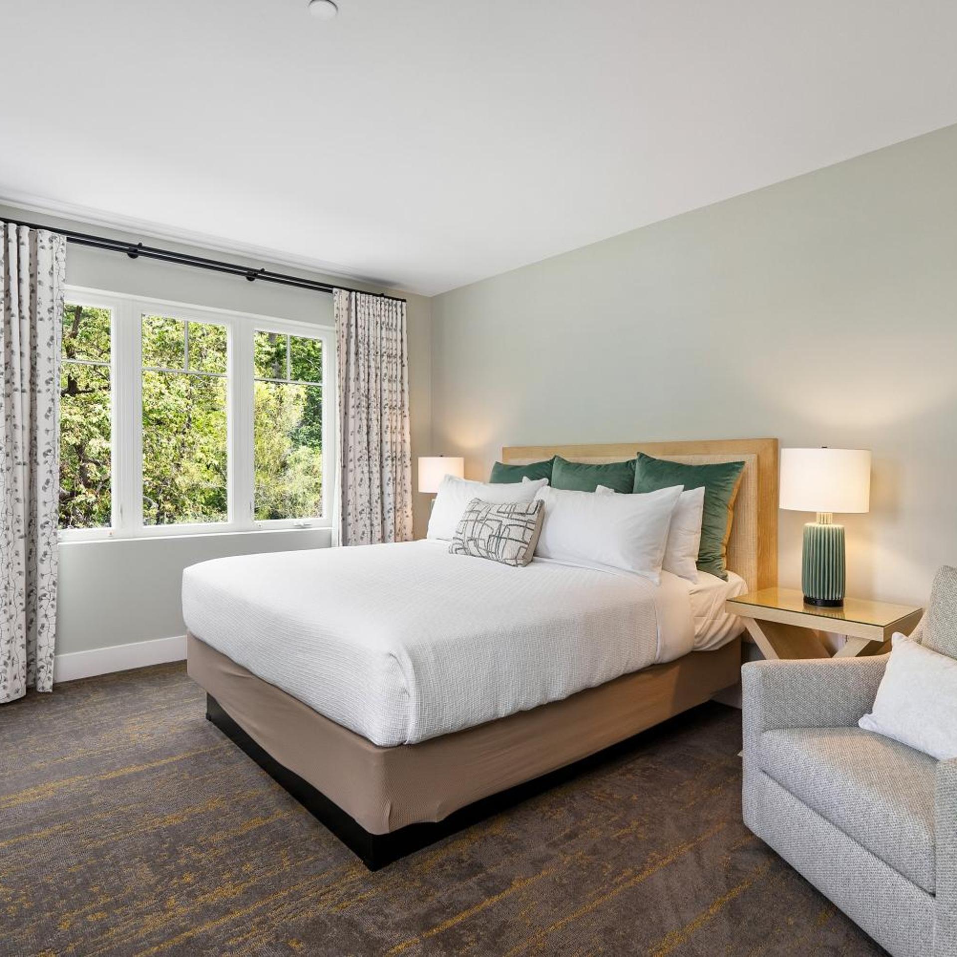 Forest, Suite, King Bed, Sofa