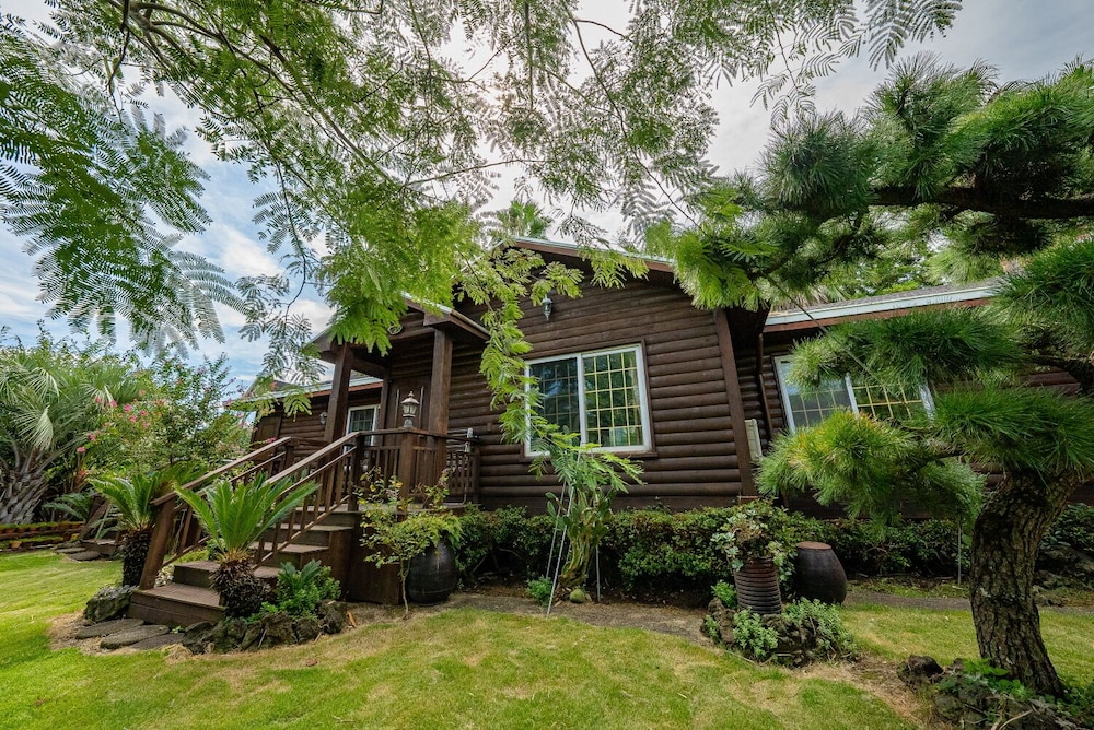 Valley Log Pension 3/50