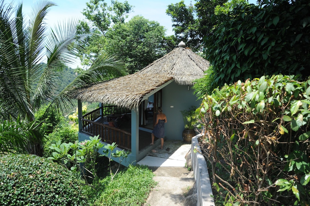 The Jungle Club 40/50