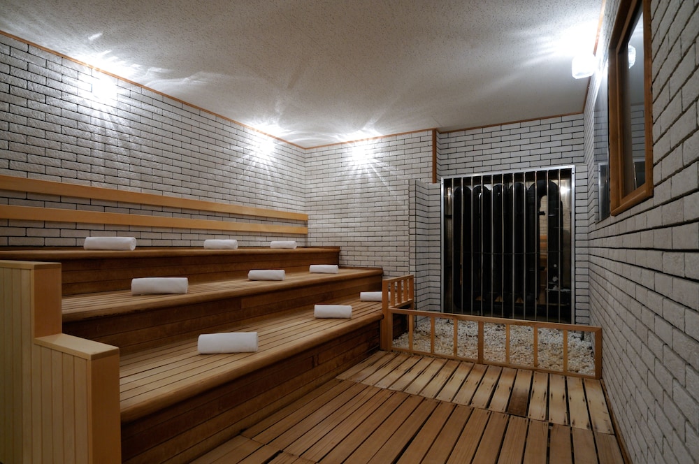 Hotel Emisia Sapporo 28/65