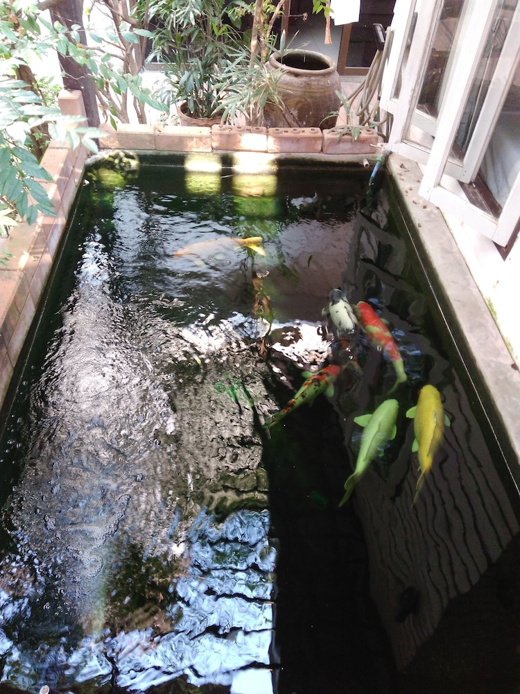 Thanicha Resort Amphawa 66/72