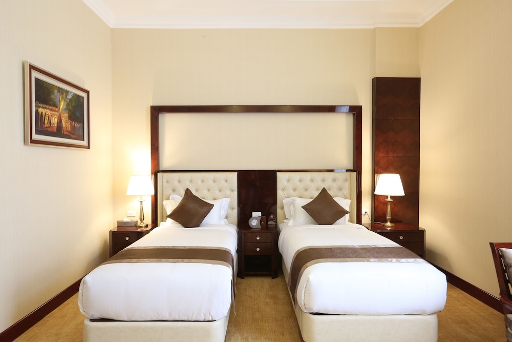Sapphire Addis Hotel 12/50