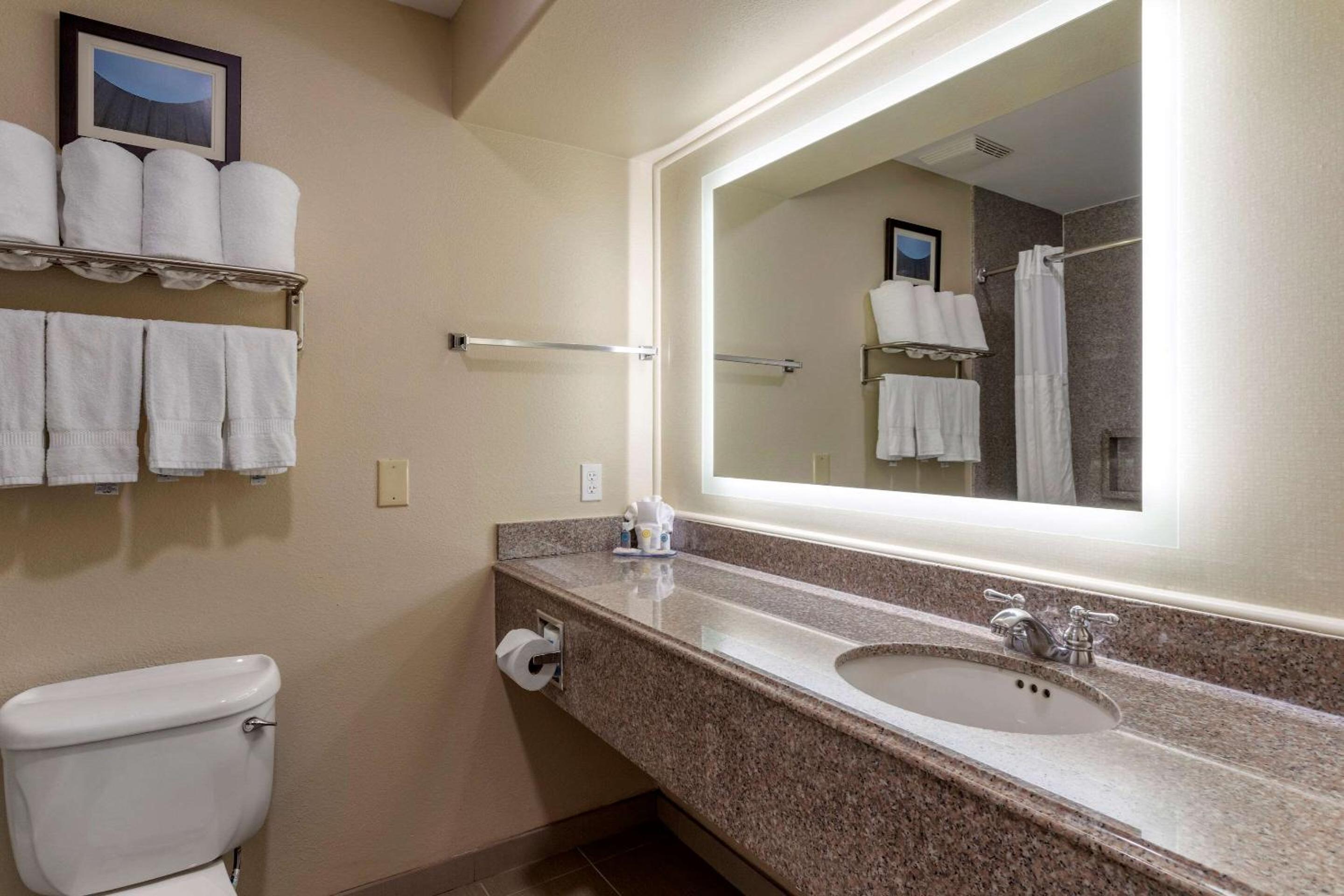 جناح بغرفة نوم واحدة بحوض جاكوزي لذوي الإعاقة، Comfort Suites Houston near Medical Center- NRG Stadium 6/8