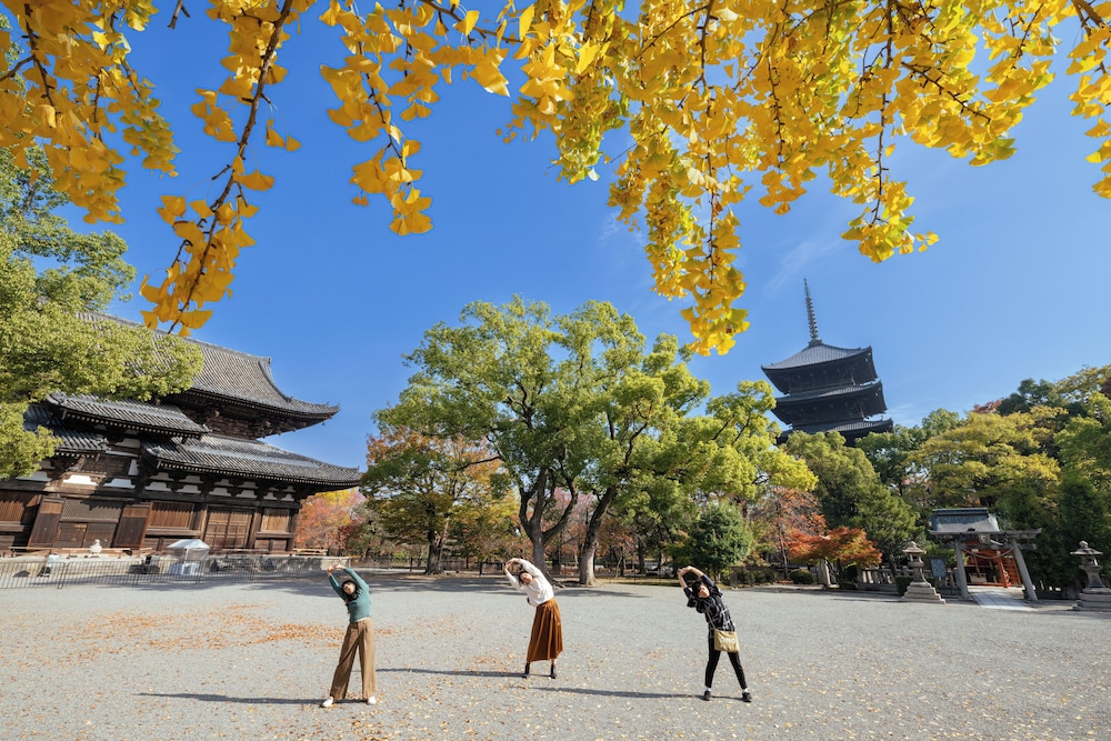 Omo3 Kyoto Toji by Hoshino Resorts 42/50