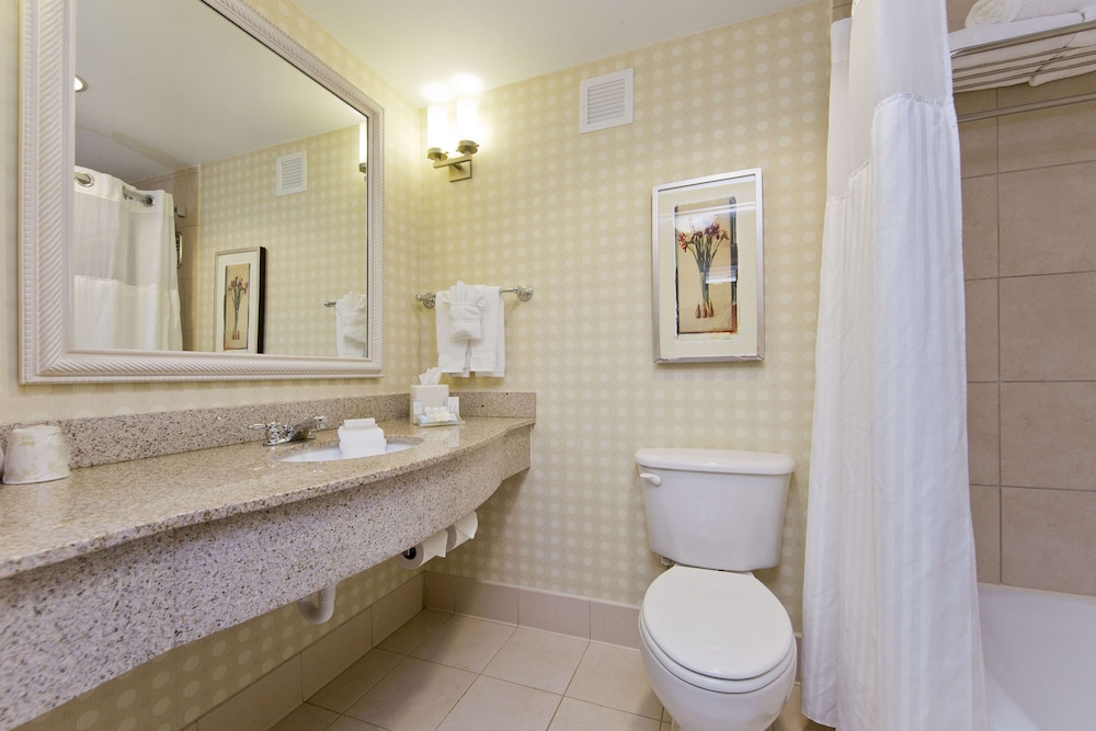 Evolution, 2 Queen Beds، Hilton Garden Inn Winchester 7/9