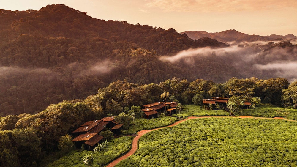 Nyungwe Tea Forest Resort 58/71