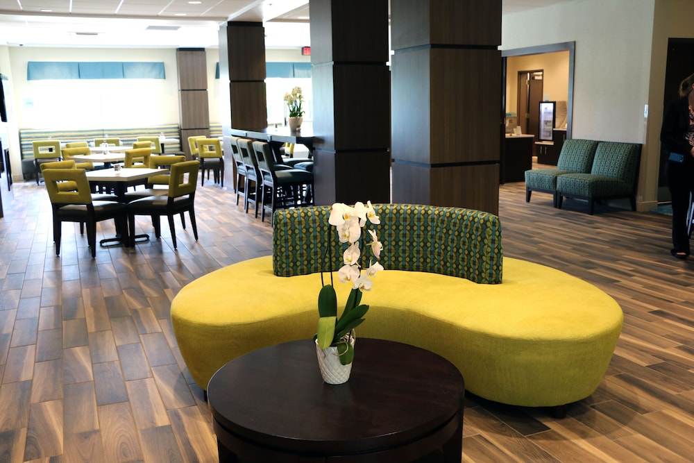 HOLIDAY INN EXPRESS & SUITES HENDERSONVILLE SE - FLAT ROCK 43/52