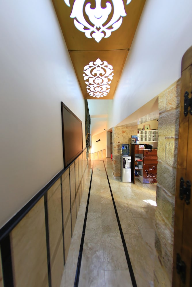 Bacchus Pension 3/49