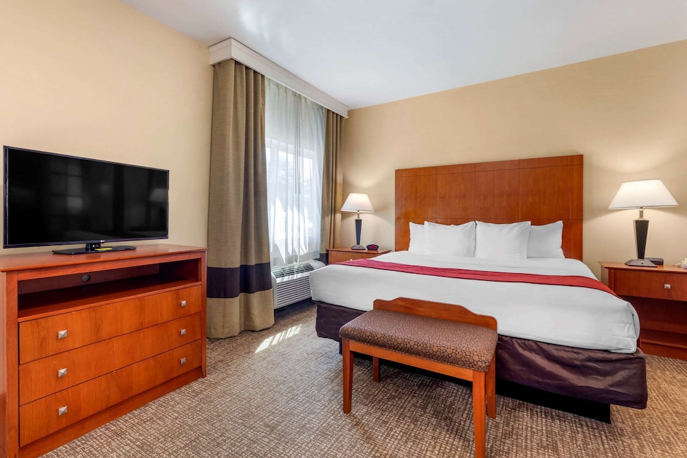 Comfort Suites North Dallas 15/31