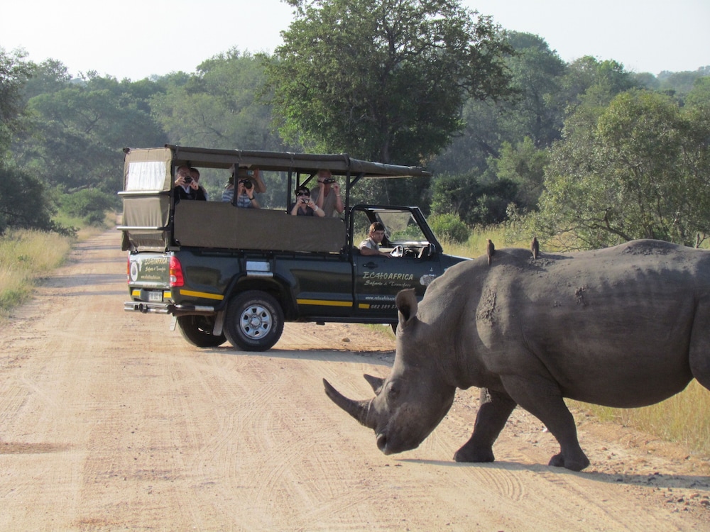 Nkambeni Safari Camp 10/64