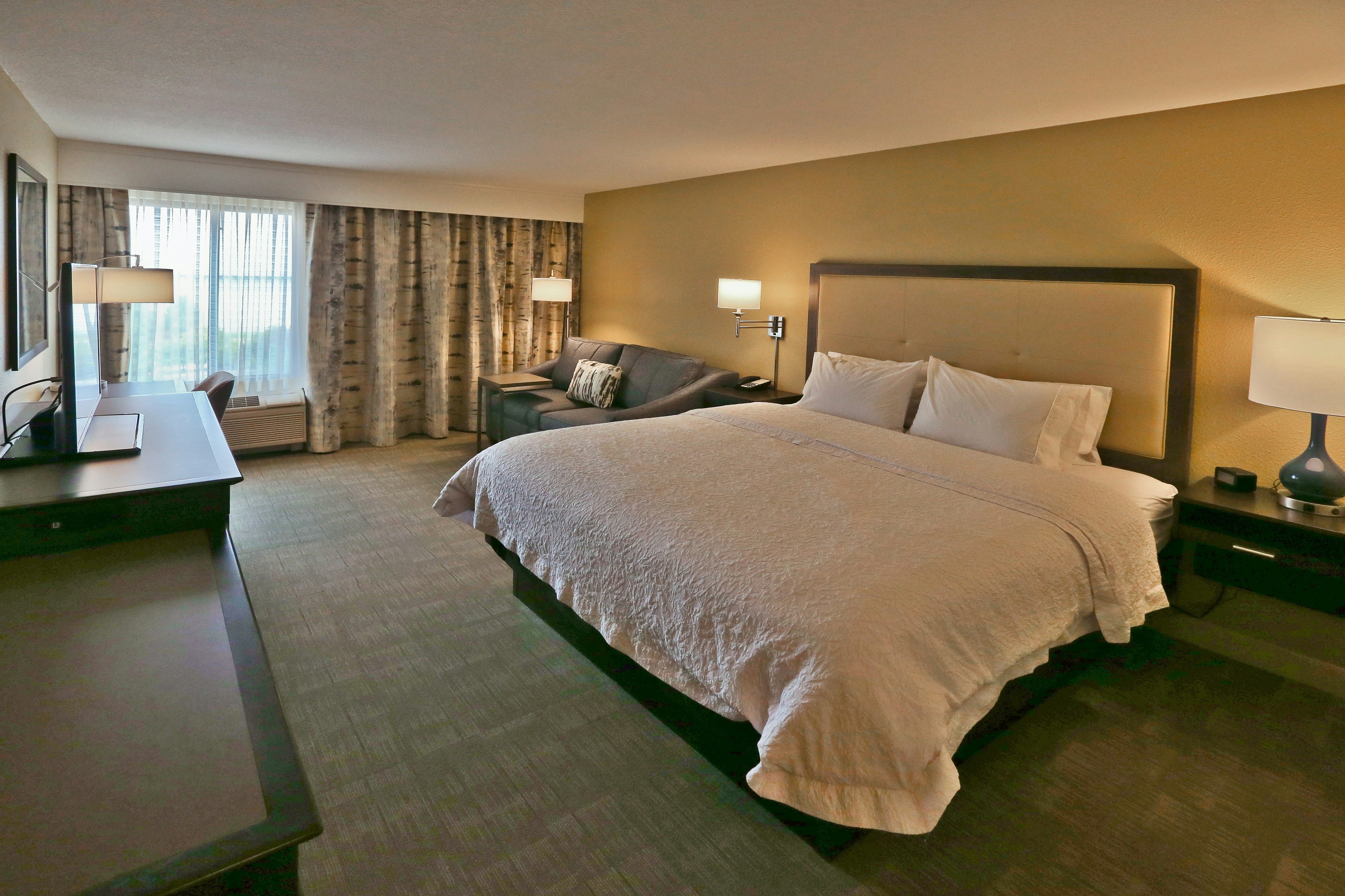ROOM, KING BED, SOFA