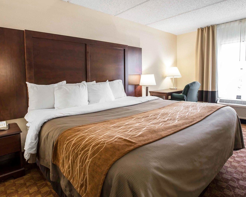 Comfort Inn and Suites at I-85 17/49