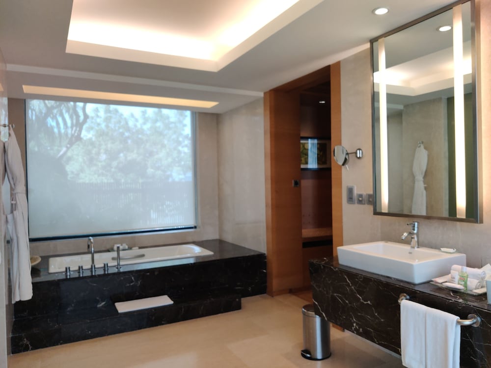 HYATT HYDERABAD GACHIBOWLI 40/71