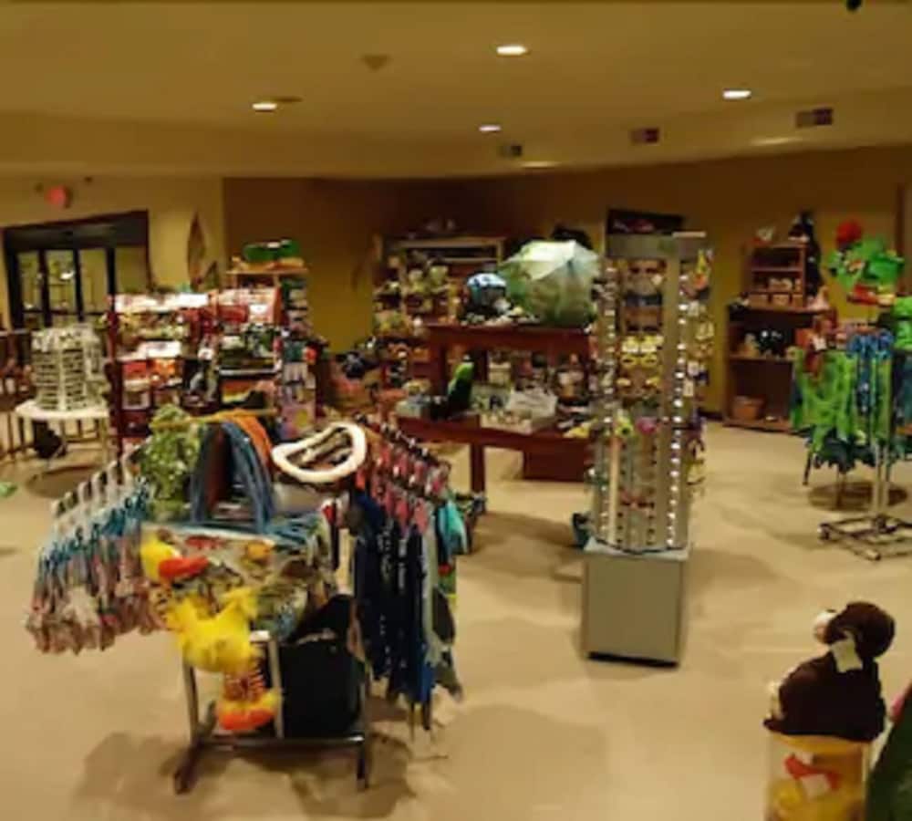 Big Splash Adventure Indoor Water Park Resort 18/28