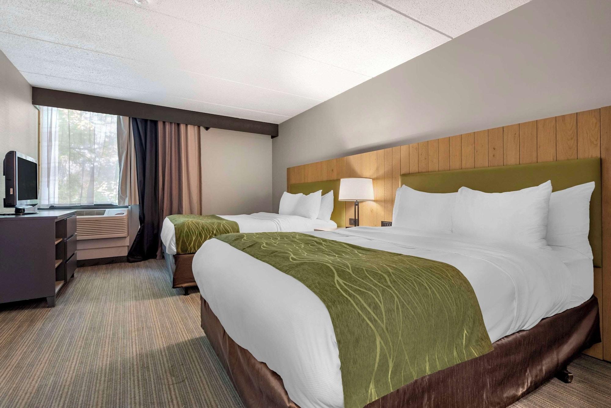 Suite, Multiple Beds