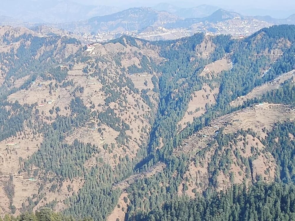 Kufri Holiday Resort 44/50