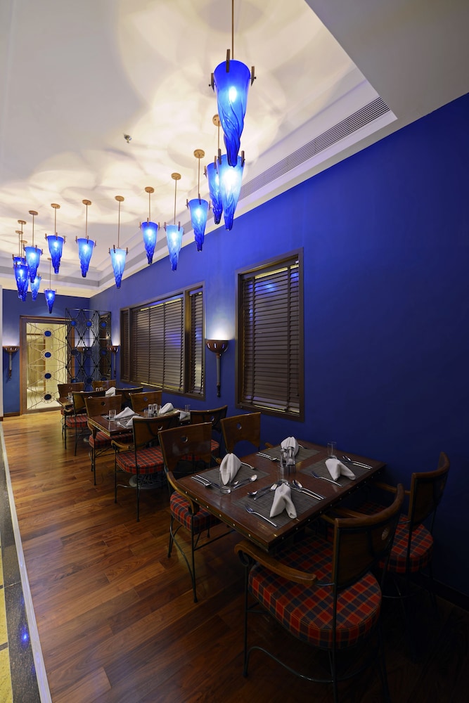 Radisson Blu Hotel Ahmedabad 58/71