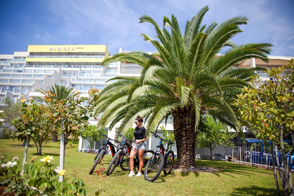Hotel Mimosa - Lido Palace 35/46