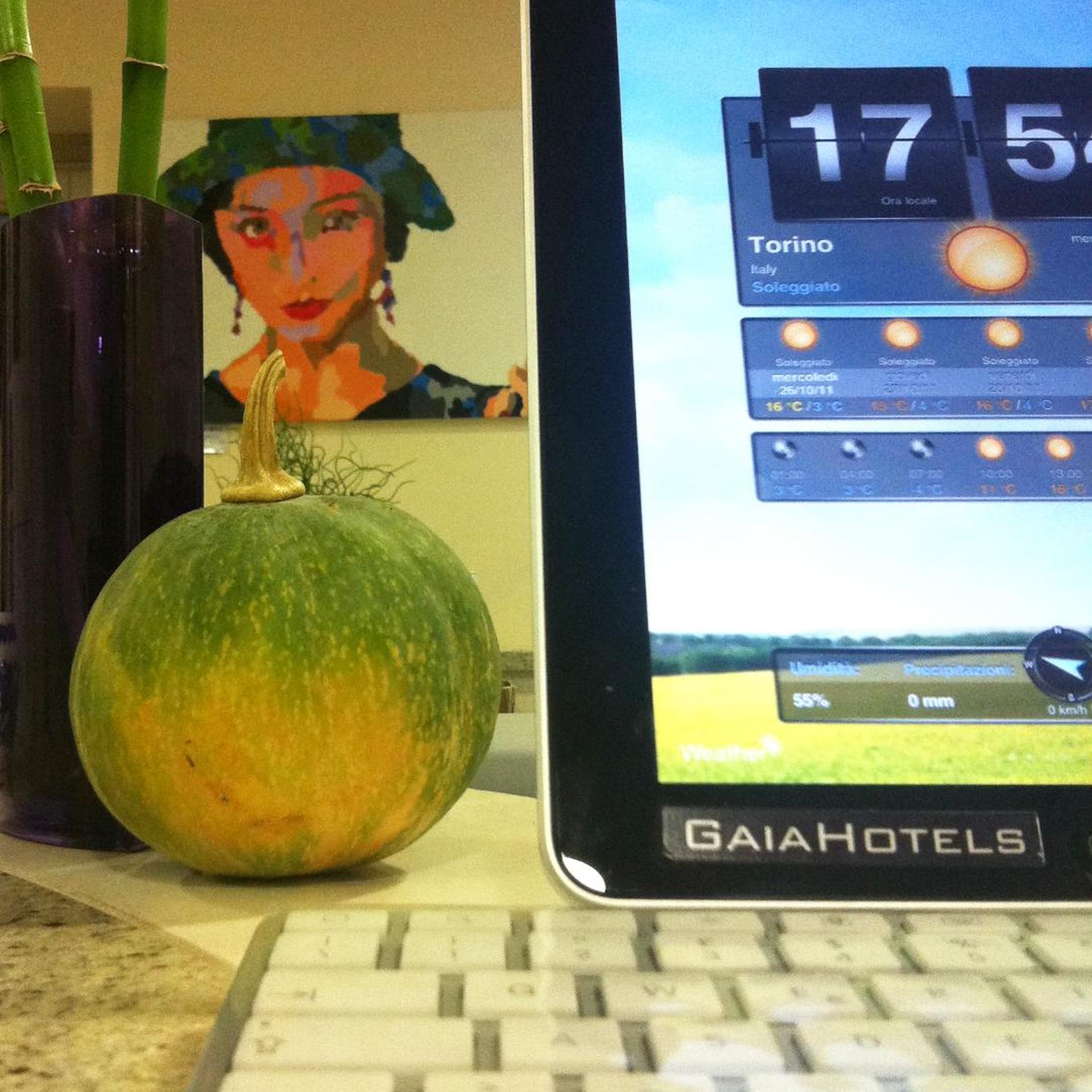 ECO ART HOTEL STATUTO 15/35