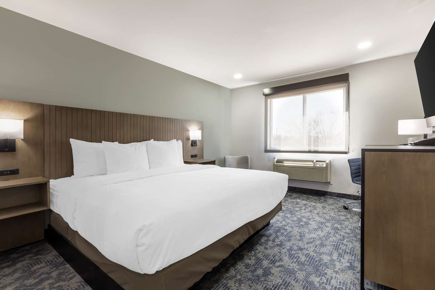 Room, King Bed