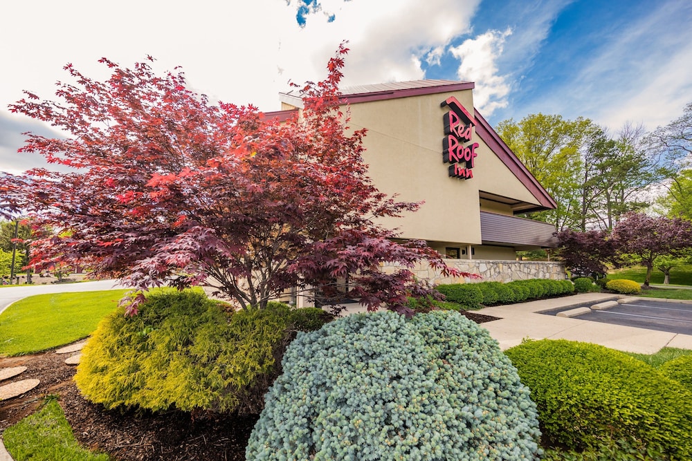 Red Roof Inn Cincinnati Northeast - Blue Ash 6/28