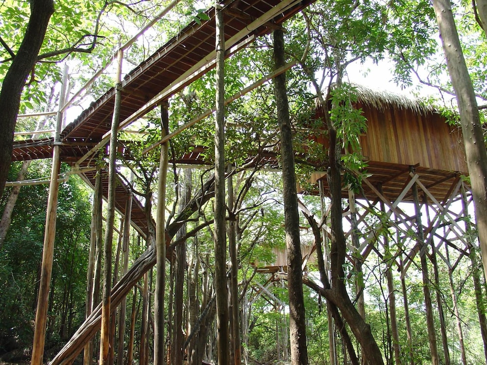 Juma Amazon Lodge 16/50