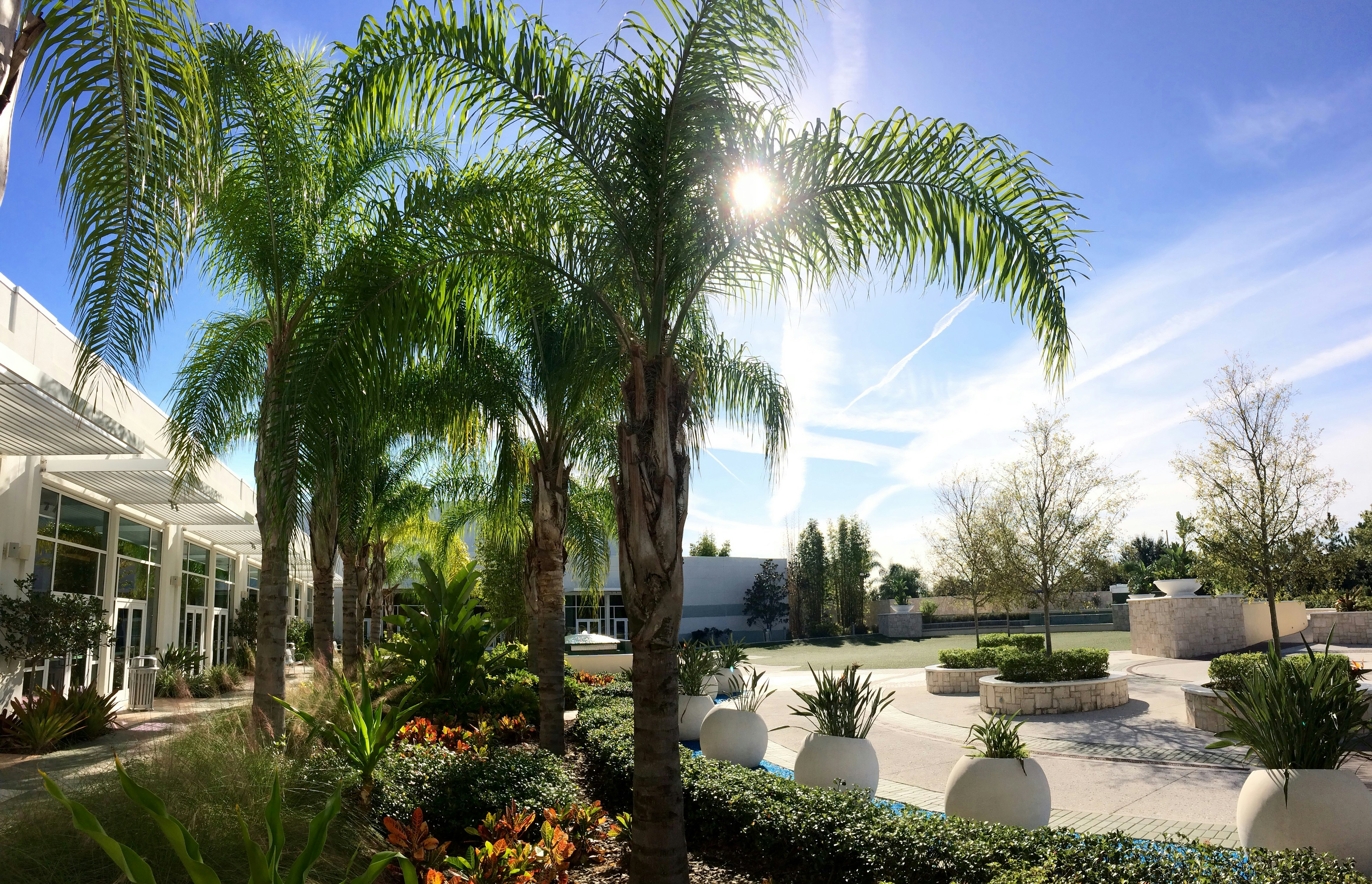Hilton Orlando 73/75
