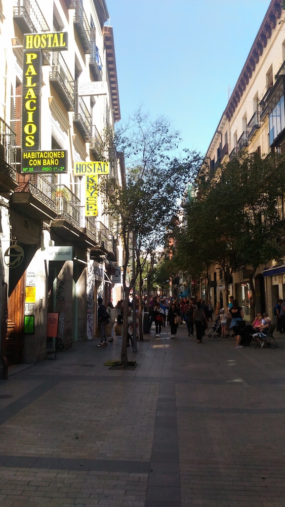Hostal Palacios Fuencarral酒店(Hostal Palacios Fuencarral) 图片1