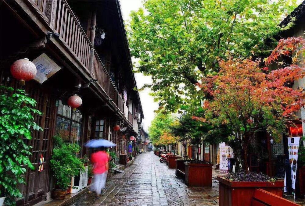 Yi Garden Cultural Hotel Disney Branch 6/50