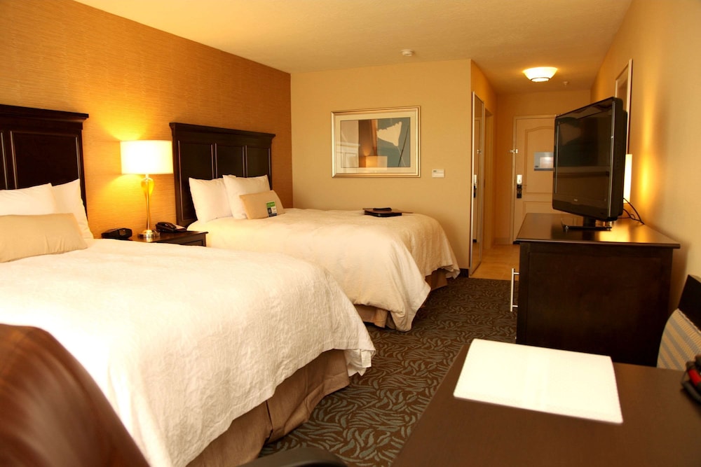 Hampton Inn And Suites Carlsbad Nm 11/37