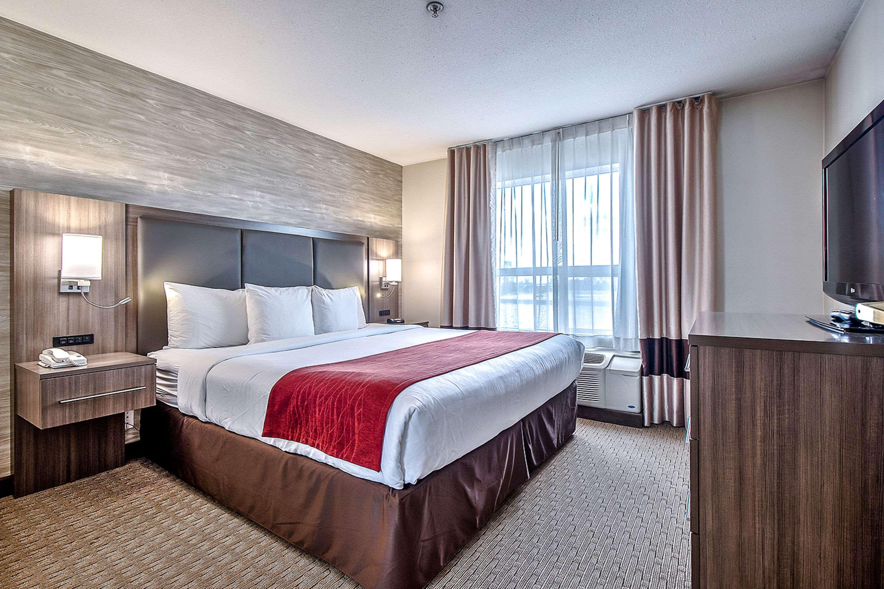 SUITE, KING BED
