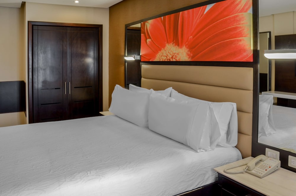 Hilton Garden Inn Guatemala City 8/58