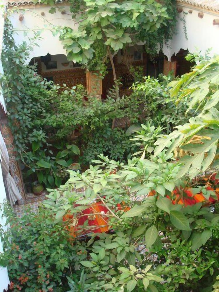 Riad Maryam 43/50
