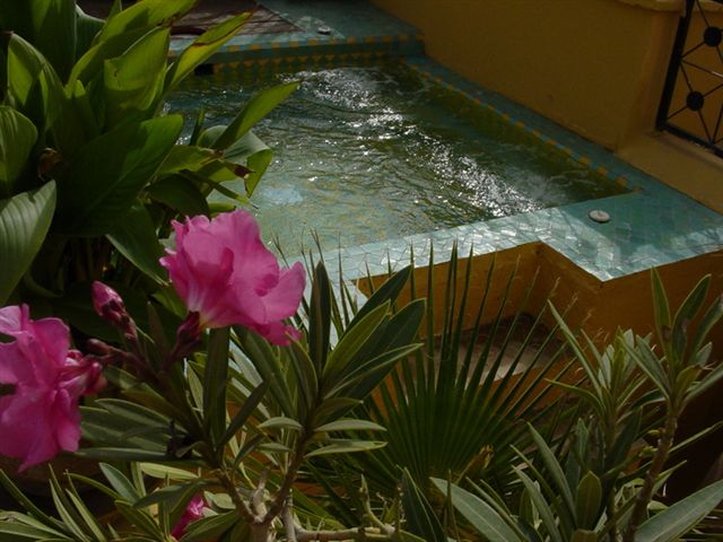 Riad Karmela 26/50