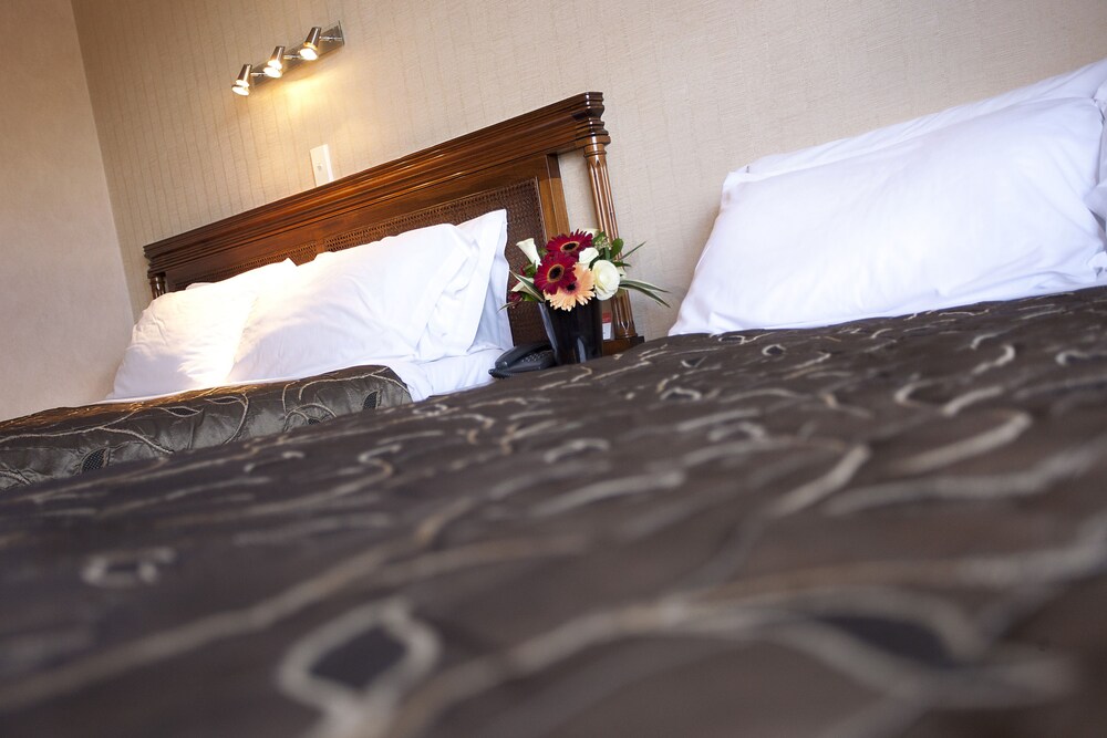 Distinction Coachman Hotel Palmerston North 25/63
